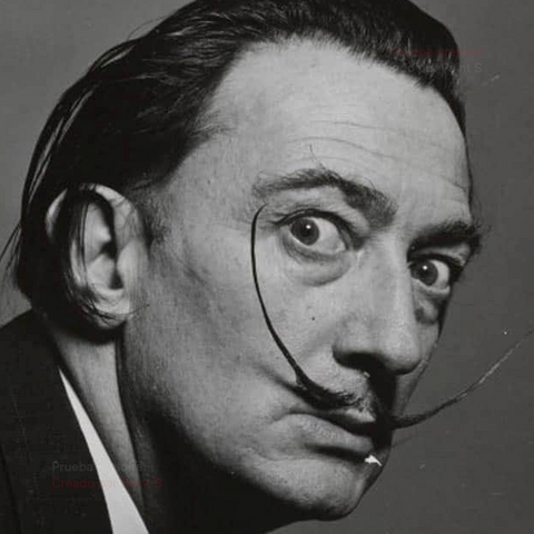  Salvador Dalí