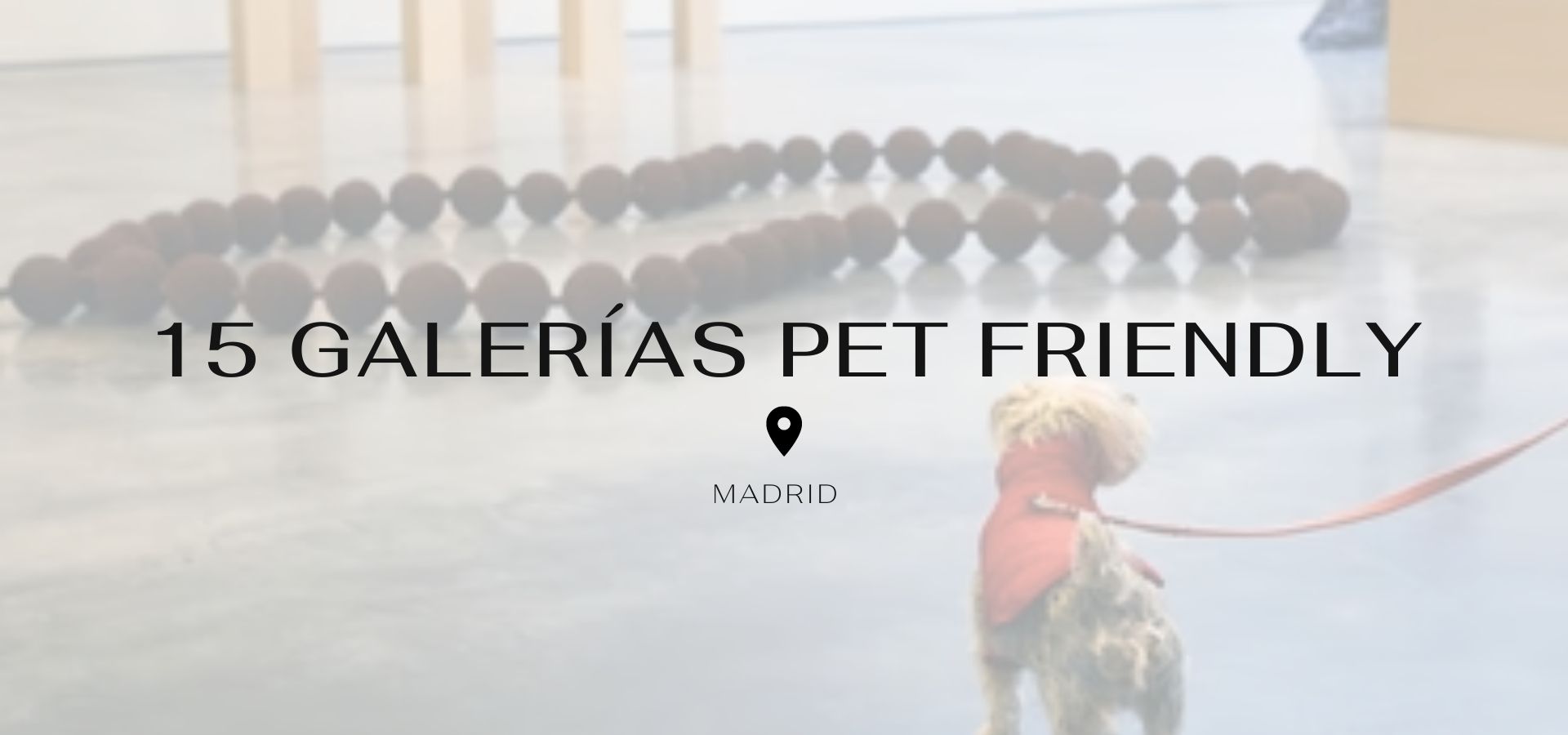 4 rutas por galerías de arte pet-friendly a las que ir con tu mascota