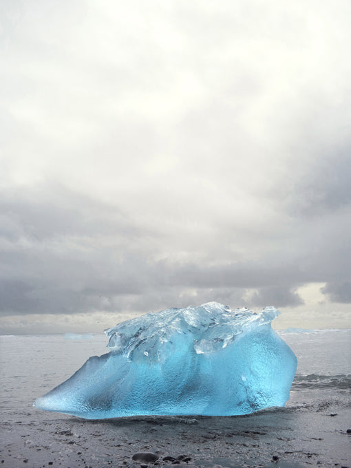 Jitka Hanzlova 写真集 Buy Photography HUMAN LIGHT #7 untitled (Eagle) Jitka