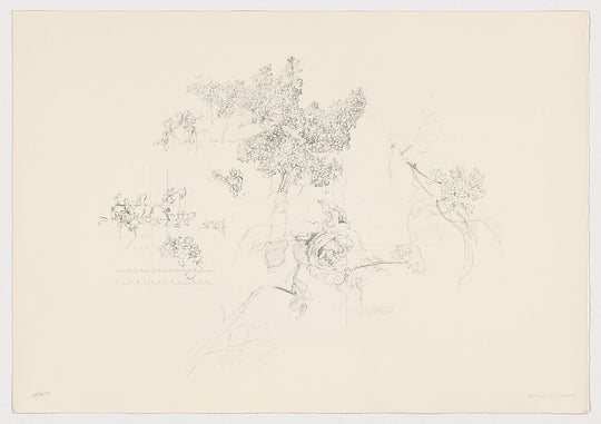 Buy Works by Antonio López - RedCollectors