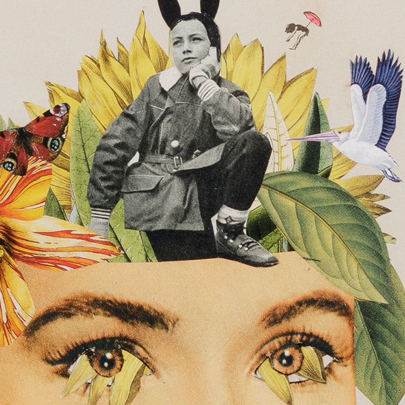 Adriana Bermúedez Collage Art