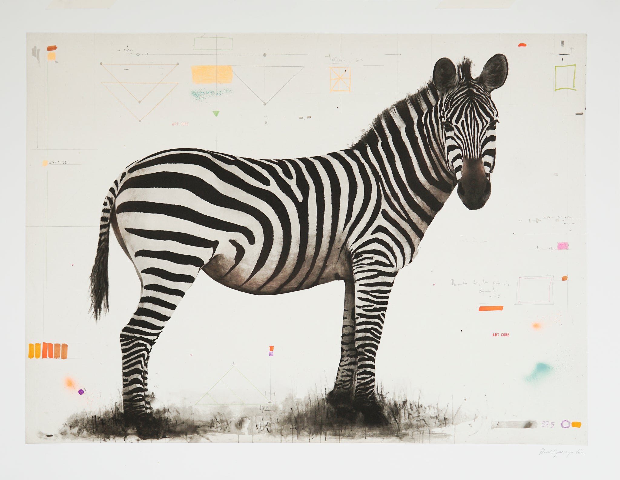 David Morago