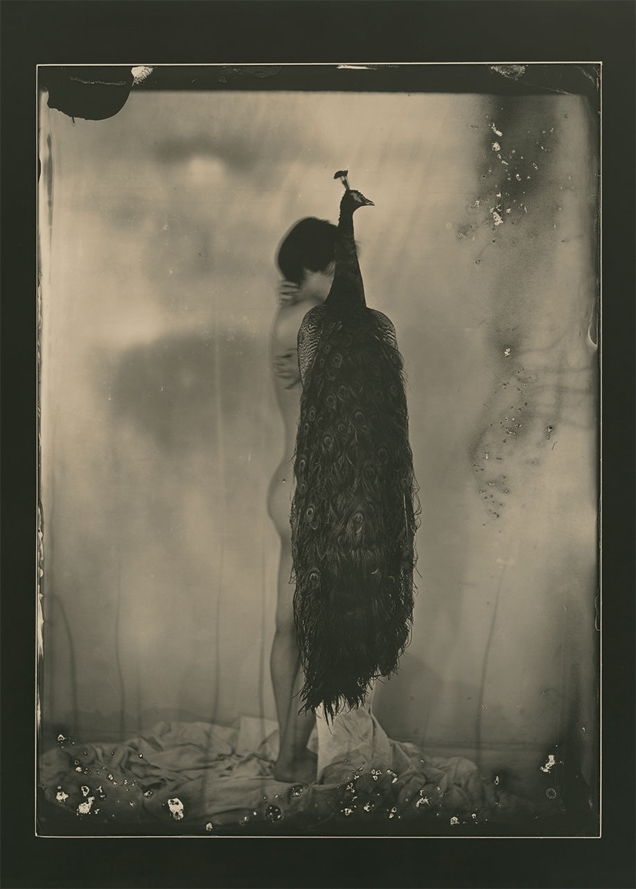 Masao Yamamoto