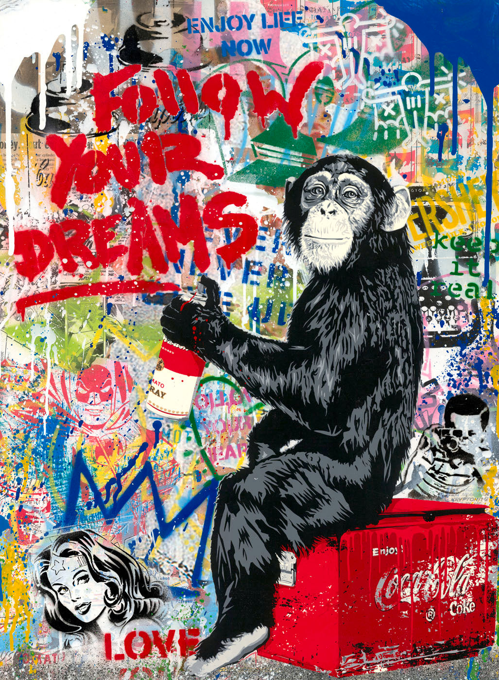 Mr Brainwash