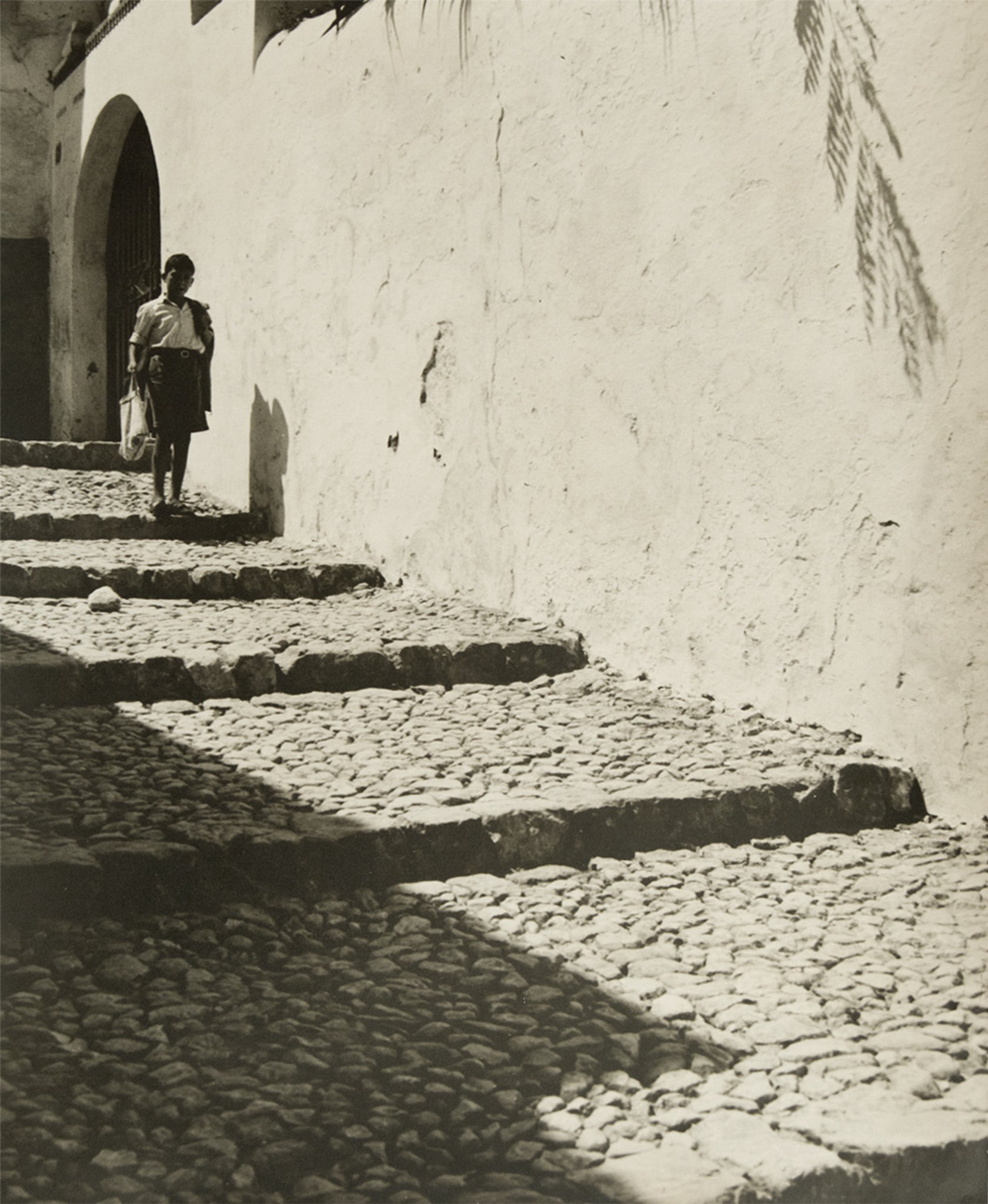 Palmira Puig